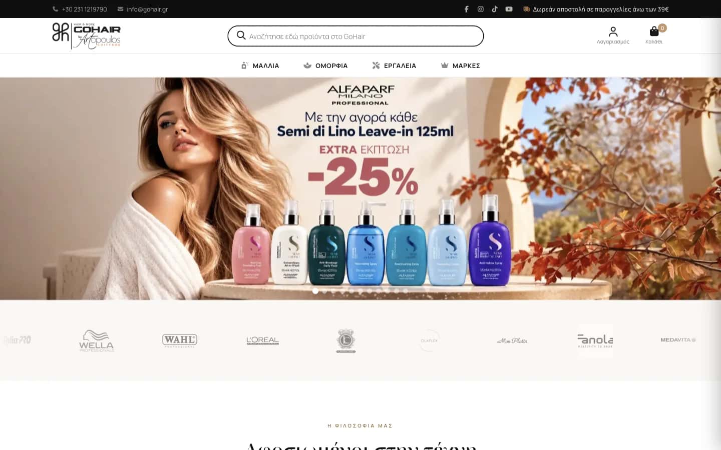 Go Hair: προβολή του έργου σε υπολογιστή