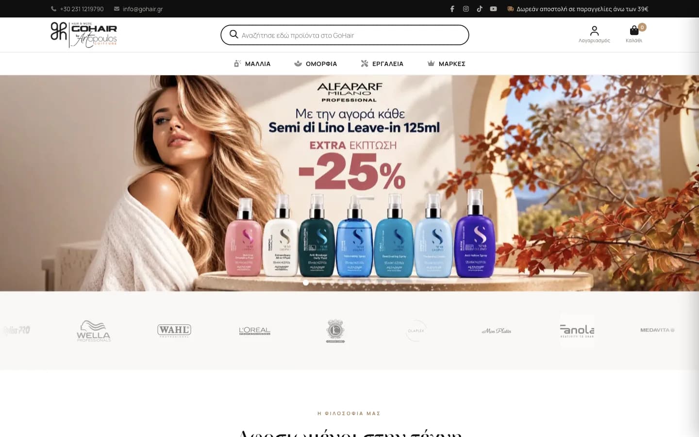 Go Hair: προβολή του έργου σε υπολογιστή