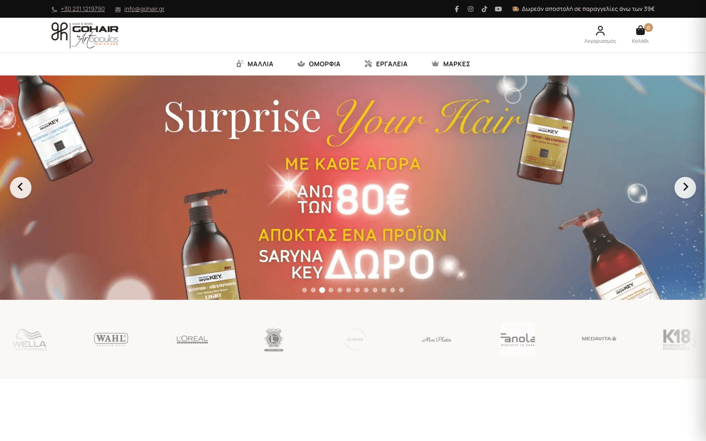 Go Hair - Website Preview